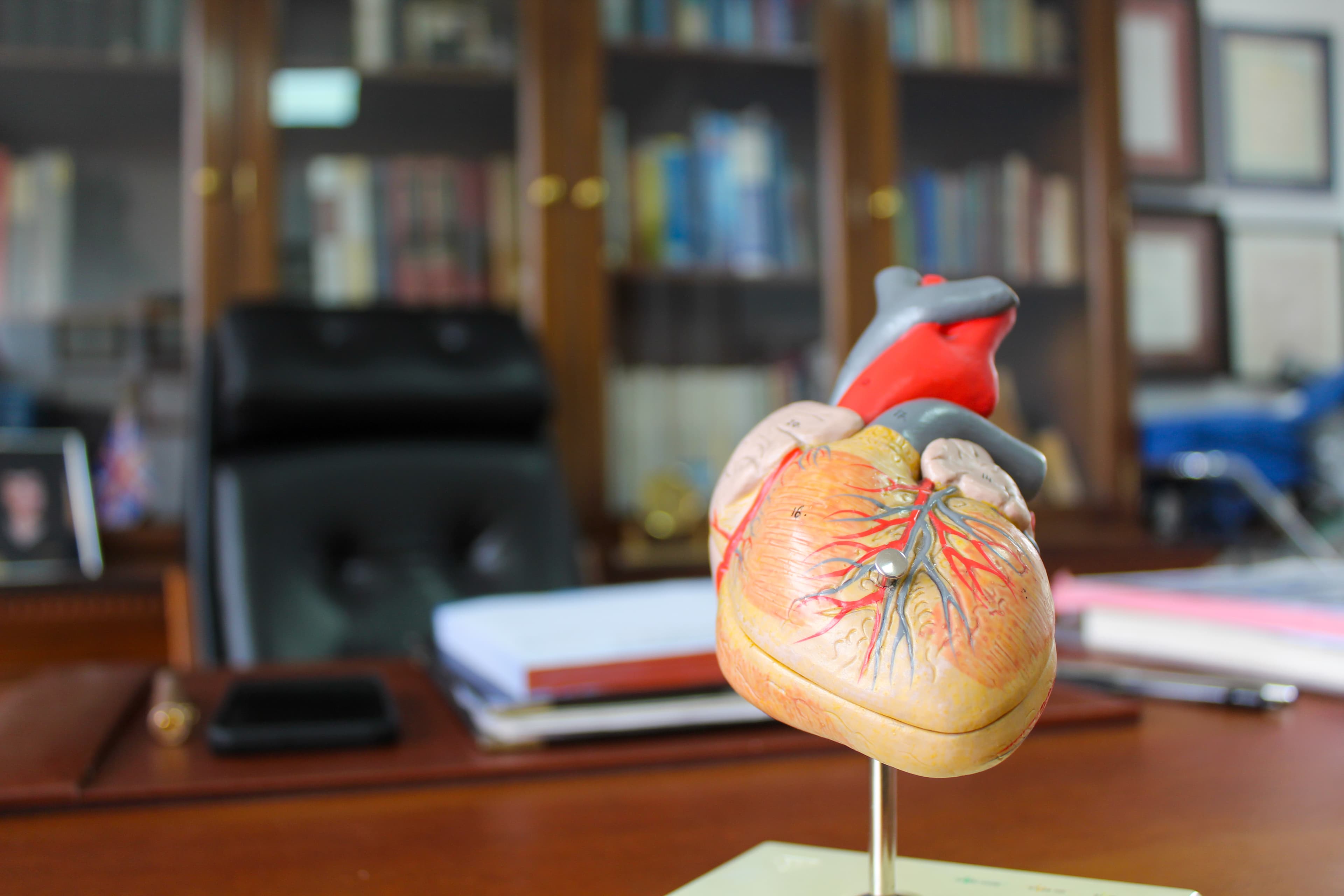 Dr. Rosales - Cardiology